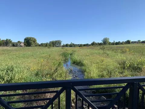936 Eineke Blvd, Algonquin, IL 60102 photo 16