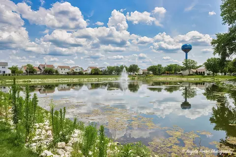 595 Bridle Ct, Lakemoor, IL 60050 photo 21
