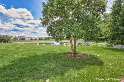 595 Bridle Ct, Lakemoor, IL 60050 photo 19