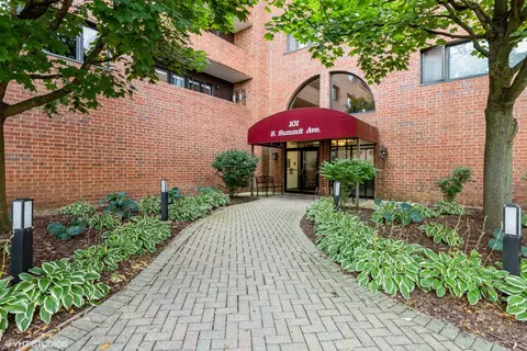 101 Summit Ave #502, Park Ridge, IL 60068