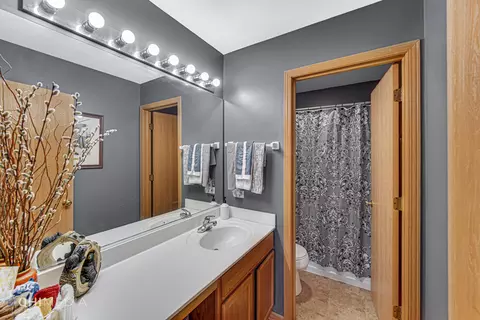 2715 Stonebridge Dr, Plainfield, IL 60586 photo 21