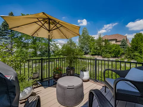 615 Bourbon Ct, Naperville, IL 60565 photo 53