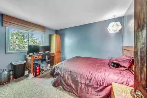 4422 Hickorynut Dr, Mchenry, IL 60051 photo 19