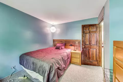 4422 Hickorynut Dr, Mchenry, IL 60051 photo 18