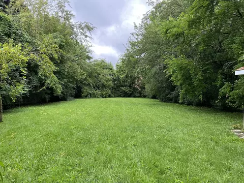 320 Bellaire Ave, Des Plaines, IL 60016 photo 30