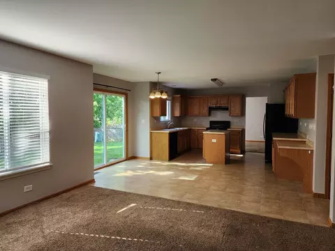 223 Keller St, Plano, IL 60545 photo 10