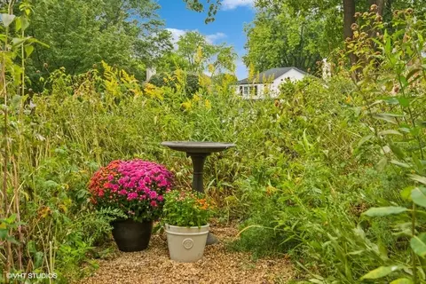 501 S Pine Ave, Arlington Heights, IL 60005 photo 33