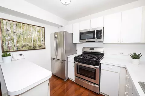 230 E Ontario St #2406, Chicago, IL 60611 photo 13