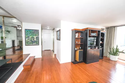 230 E Ontario St #2406, Chicago, IL 60611 photo 9