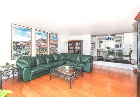 230 E Ontario St #2406, Chicago, IL 60611 photo 7