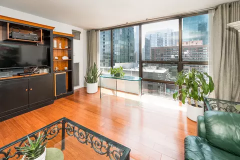 230 E Ontario St #2406, Chicago, IL 60611 photo 6