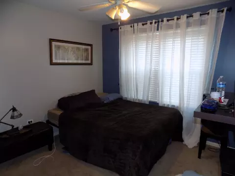 305 Hickory Oaks Dr, Bolingbrook, IL 60490 photo 29