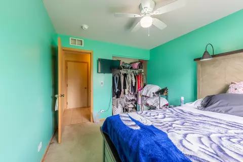3414 Veronica St, Plano, IL 60545 photo 18