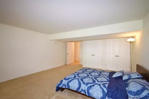 160 Orchards Pass #0, Bartlett, IL 60103 photo 43