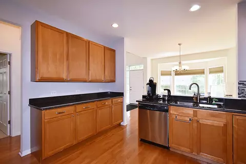 160 Orchards Pass #0, Bartlett, IL 60103 photo 18