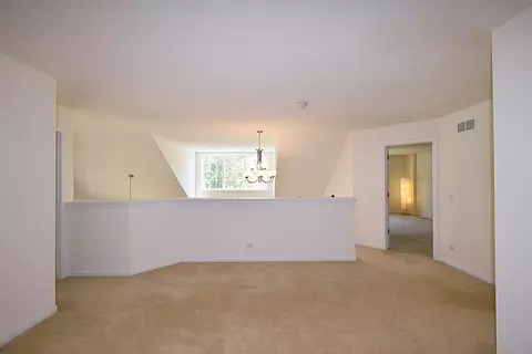 160 Orchards Pass #0, Bartlett, IL 60103 photo 31