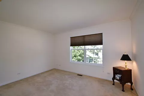 160 Orchards Pass #0, Bartlett, IL 60103 photo 34