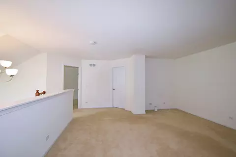 160 Orchards Pass #0, Bartlett, IL 60103 photo 32