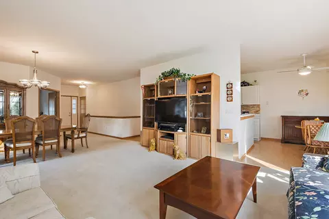 21121 Buckeye Ct, Plainfield, IL 60544 photo 5