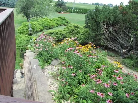 15902 Rachel Ln, Davis Junction, IL 61020 photo 75