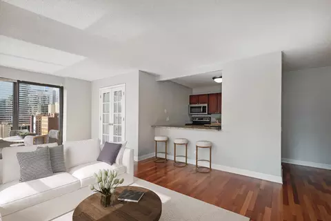 30 E Huron St #1602, Chicago, IL 60611 photo 4