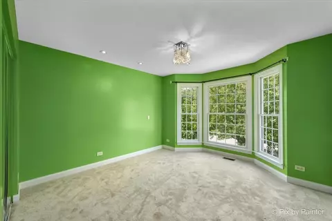 149 Adare Dr, Cary, IL 60013 photo 35