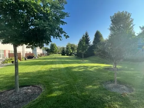 417 Blackstone Ave, Elgin, IL 60124 photo 25