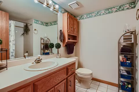 5029 W Circle Dr #204, Crestwood, IL 60445 photo 9