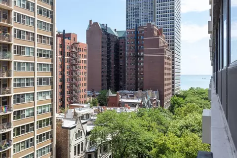 33 E Cedar St #10E, Chicago, IL 60611 photo 11