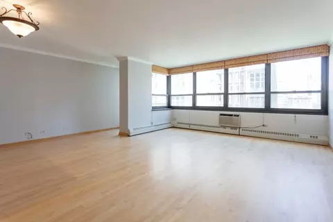 33 E Cedar St #10E, Chicago, IL 60611 photo 3