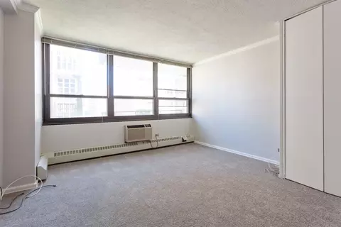 33 E Cedar St #10E, Chicago, IL 60611 photo 8
