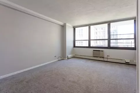 33 E Cedar St #10E, Chicago, IL 60611 photo 7