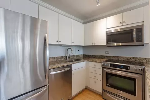 33 E Cedar St #10E, Chicago, IL 60611 photo 6
