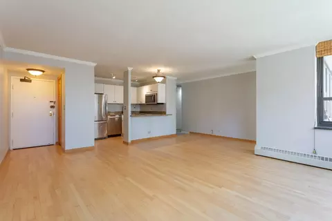 33 E Cedar St #10E, Chicago, IL 60611 photo 5