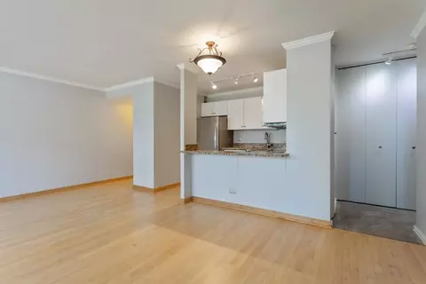 33 E Cedar St #10E, Chicago, IL 60611 photo 4