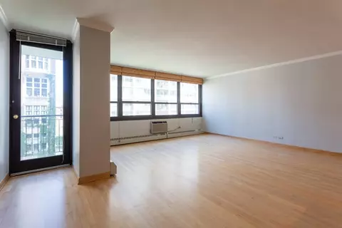 33 E Cedar St #10E, Chicago, IL 60611 photo 2
