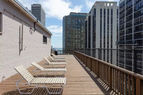 33 E Cedar St #10E, Chicago, IL 60611 photo 12