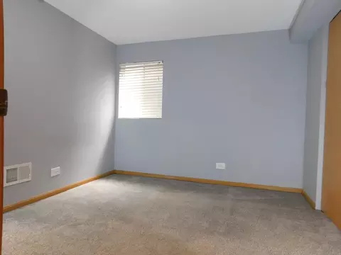 5553 Wesmere Lakes Ct, Plainfield, IL 60586 photo 32