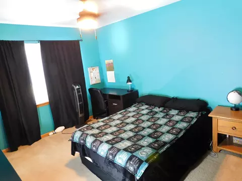 5553 Wesmere Lakes Ct, Plainfield, IL 60586 photo 29