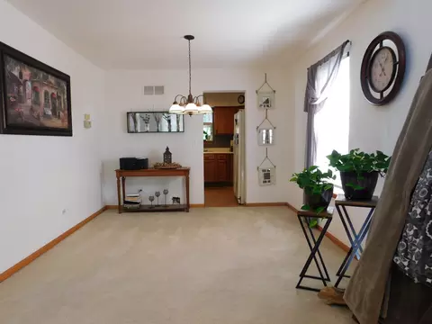 5553 Wesmere Lakes Ct, Plainfield, IL 60586 photo 17