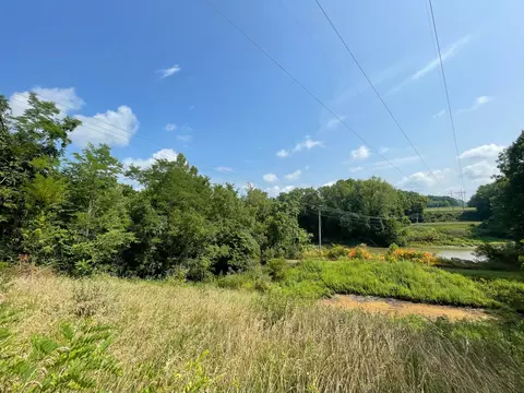 14758 Grape Creek Rd, Danville, IL 61834