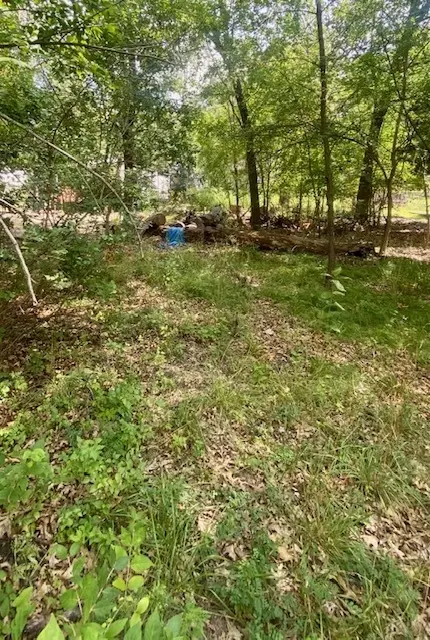 1035 Woodhaven, Sublette, IL 61367