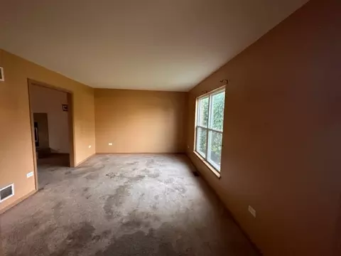 26102 S Locust Pl, Monee, IL 60449 photo 6
