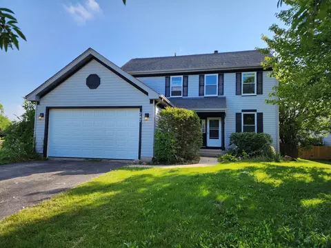 287 S Shagbark Ct, Round Lake, IL 60073
