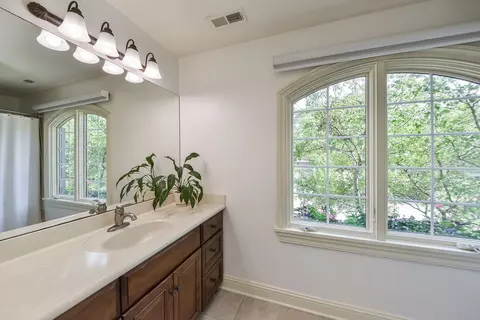 613 S Wright St, Naperville, IL 60540 photo 31