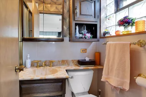 1629 E 91st Pl, Chicago, IL 60617 photo 20