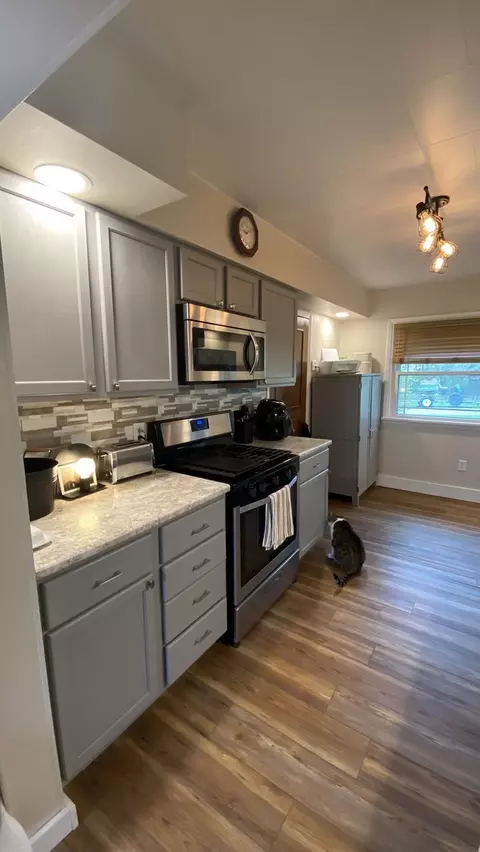 305 Sycamore St, Cedar Point, IL 61316 photo 7