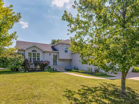 1115 S Sandstone Dr, Diamond, IL 60416