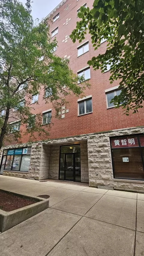 313 W 23rd St #205, Chicago, IL 60616