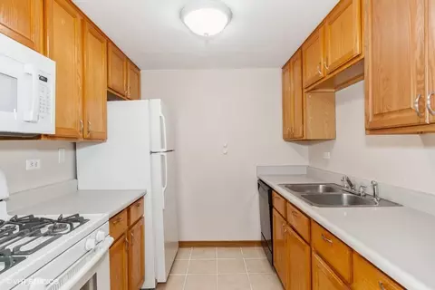 238 E Bailey Rd #M, Naperville, IL 60565 photo 5